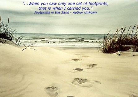 WhereSilentFeetLeaveMemory Hidden inEveryFootprint